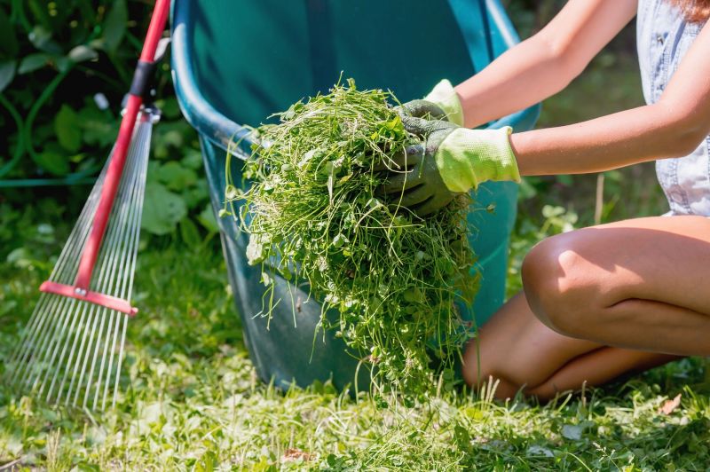 Lawn Cleanup Service in Ventura County, CA