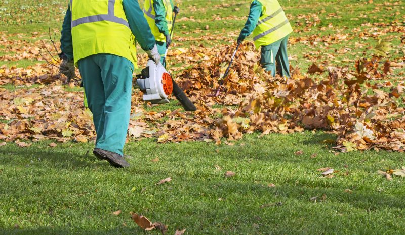 Leaf Removal in Ventura County, CA