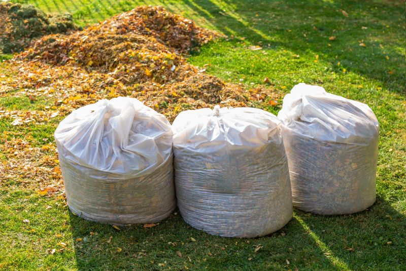 Yard Cleanup Service in Ventura County, CA