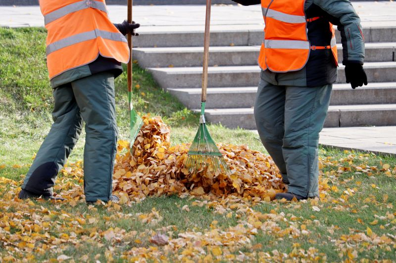 Fall Clean Up