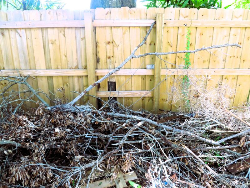 Brush Cleaning Service in Ventura County, CA