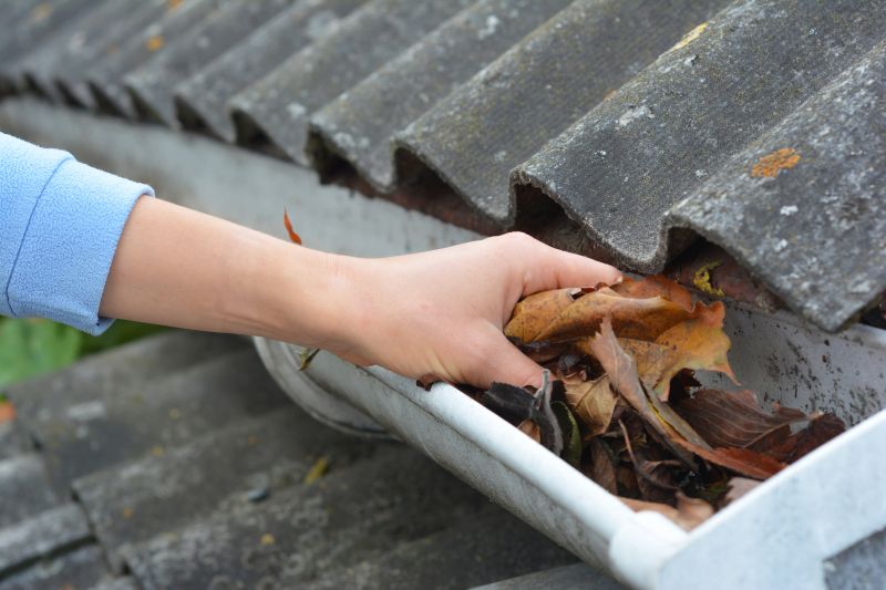 Gutter Clearing