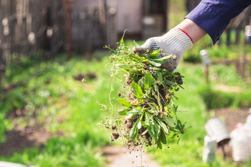 Garden Deweeding in Ventura County, CA