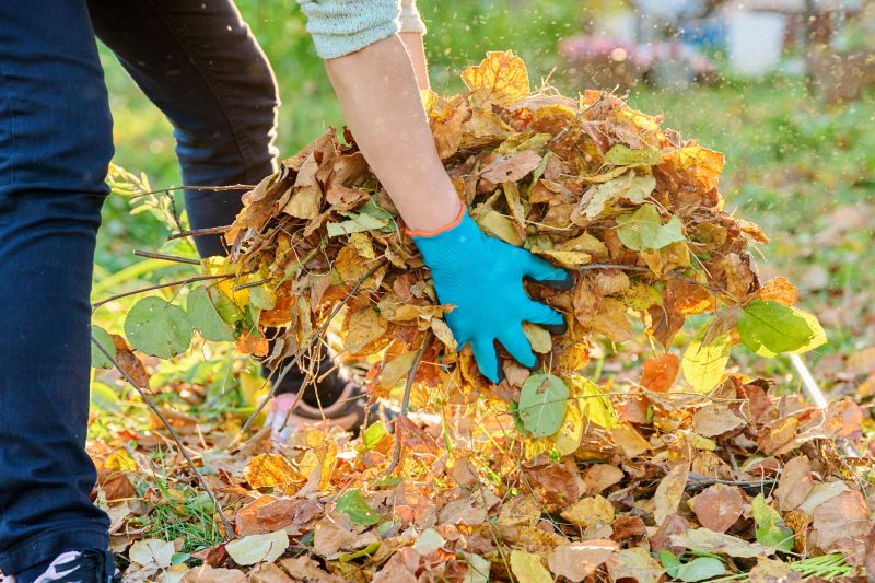 Leaf Removal in Honolulu, HI