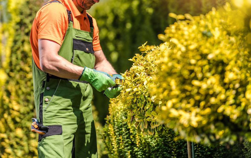 Shrubs Removal in Honolulu, HI