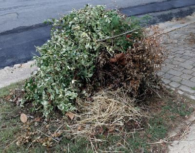 Yard Debris Removal in Ventura County, CA